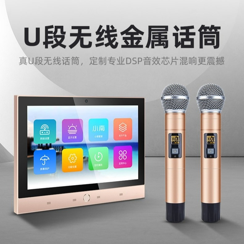 DM-8 + T5-6.5 Home Background  - Audio House Music のレビューと価格
