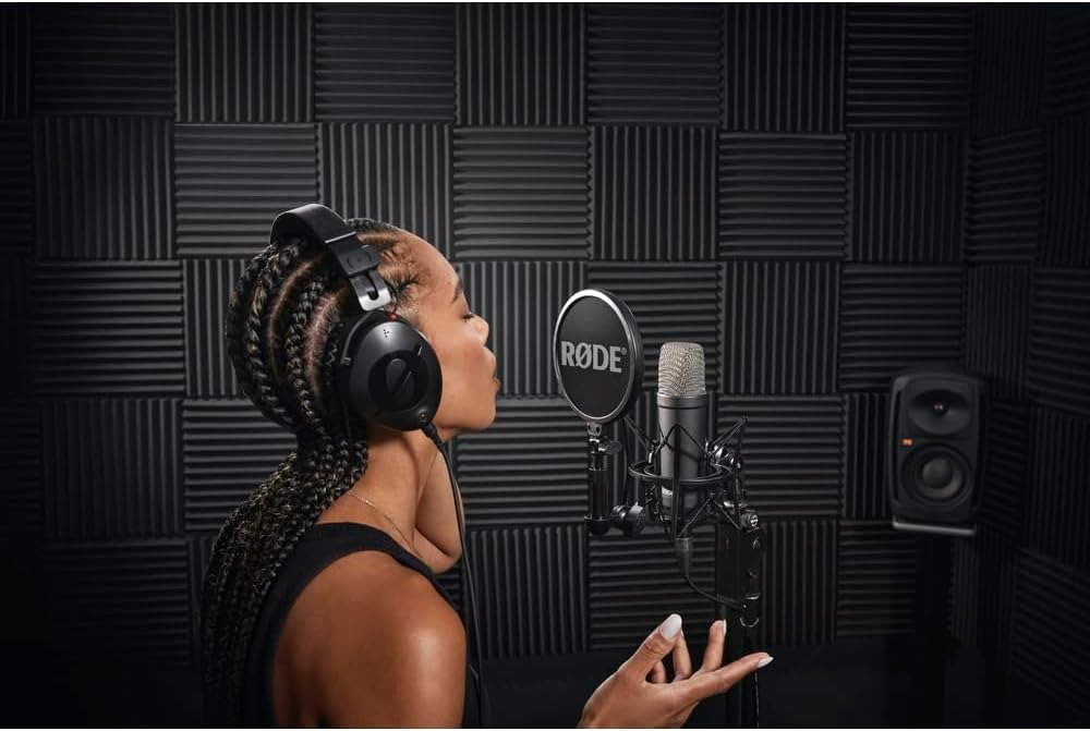 Professional Large-Diaphragm C - Xlr Microphone Condenser のレビューと価格