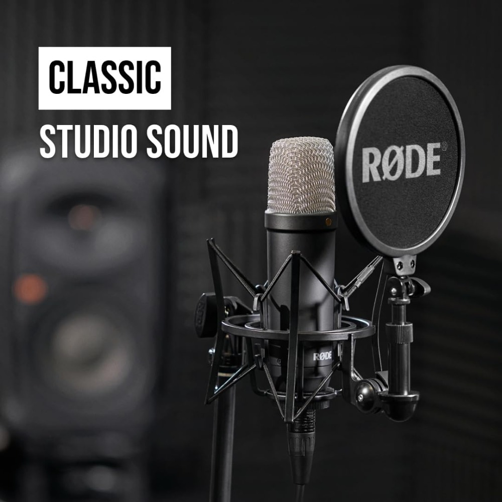 Professional Large-Diaphragm C - Xlr Microphone Condenser のレビューと価格